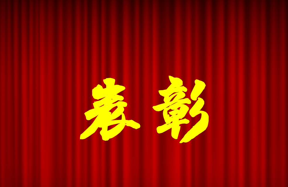 逐光前行、榮耀共鑒 | 公司2024年度表彰來啦！